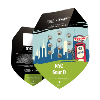 Samen 3x NYC Sour D Automatik Royalqueenseeds